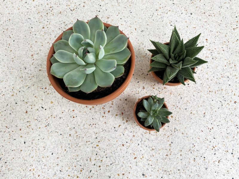 C’est quoi le terrazzo ?