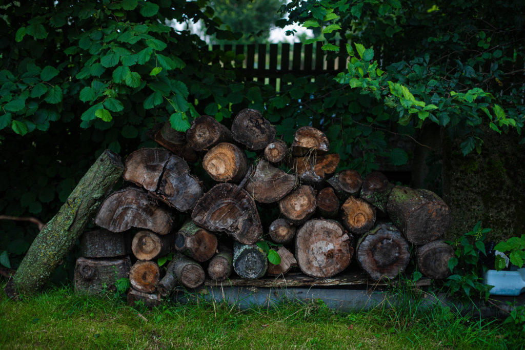 buche de bois