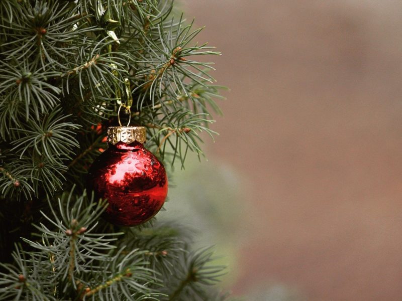 Comment faire un sapin de noël sans être néfaste pour la planète ?