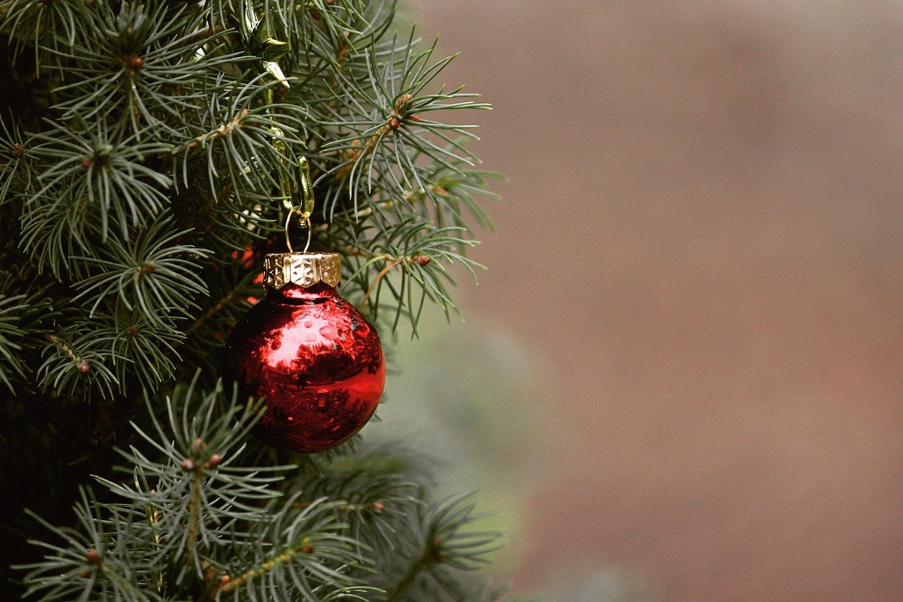 Comment fabriquer un sapin de Noël éco-responsable - Blog Promesse