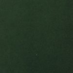 Vert bouteille