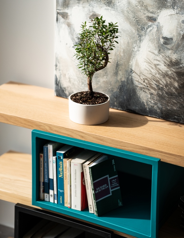 Bibliothèque modulable basse en acier et bois massif