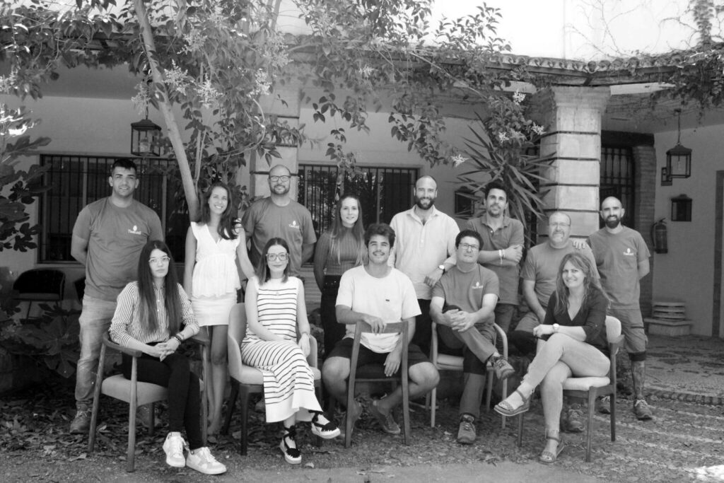 equipe timeless fabricant de chaises en bois massif