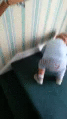 bébé qui glisse dans un escalier