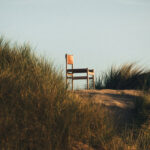 Chaise en cuir et bois massif