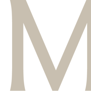 LOGOTYPE ARTMETA lin chaud